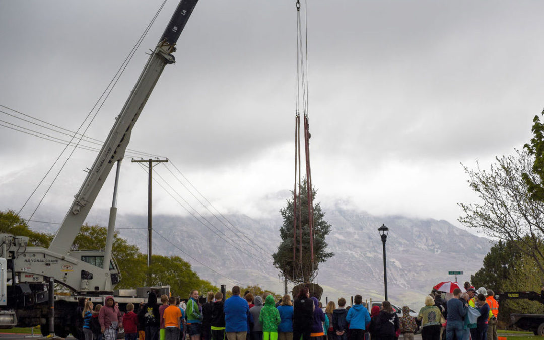 Wagstaff Crane helps celebrate an Arbor Day ceremony by planting a Hoopsii Blue Spruce
