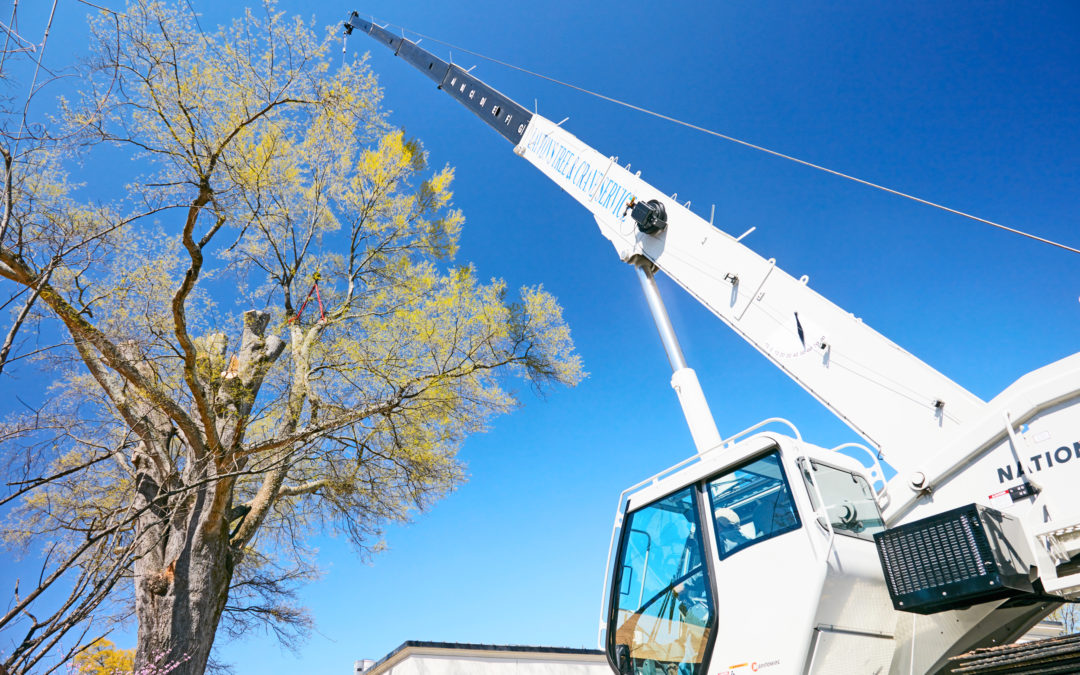 National Crane NBT55 proves an ideal solution for Layton’s Tree Service
