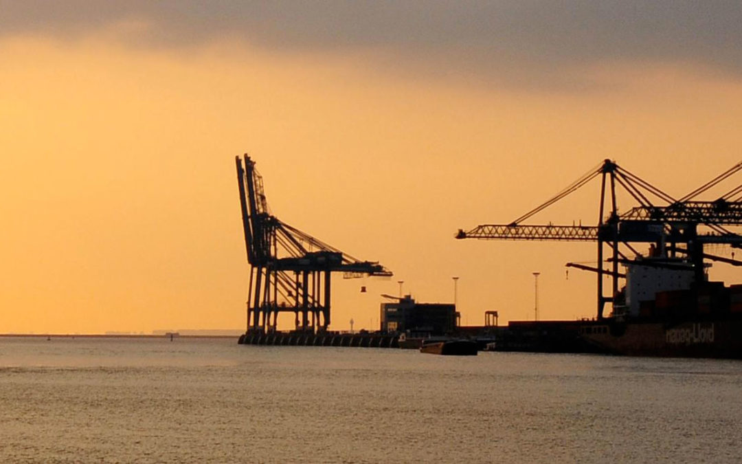 Antwerp Port Timelapse Compilation: Gantry and Mobile Harbour Cranes!